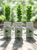 Organic Moringa 500mg - 60 Gelatin Capsules / Excipient Free